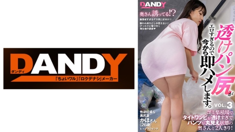 104DANDY-839C – I Was Alone With My Wife At A Garbage Dump Where Her Tight Dress Was Too Transparent And Her Panties Were Fully Exposed! – The sheer bread butt that seduces you unconsciously is too erotic, so I'm going to fuck you right away. – VOL